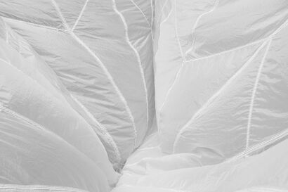 shape of things 003   - a Photographic Art Artowrk by LYNNE ROBERTS-GOODWIN
